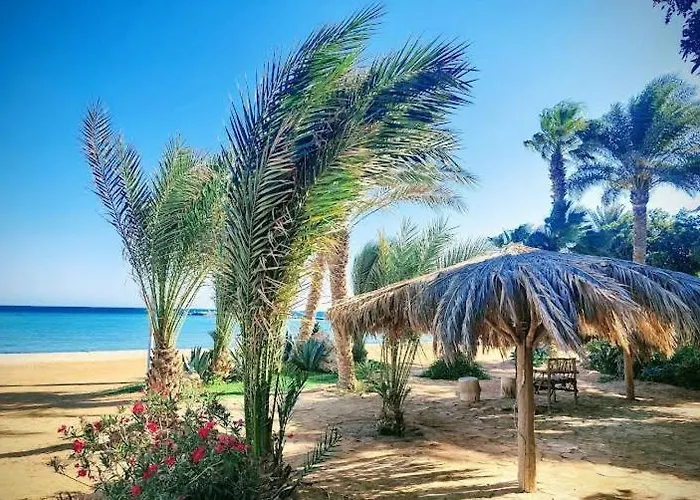Turtles Resort- * الغردقة