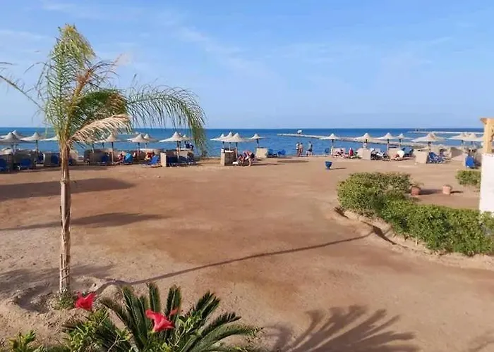 شقة Turtles Resort- *